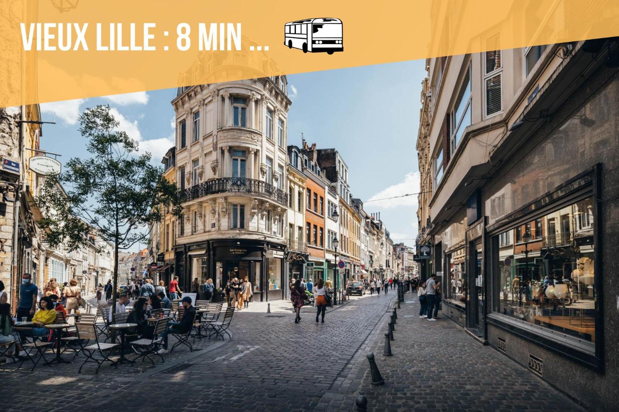 Le Design *vieux Lille*parking Gratuit*fibre Apartment